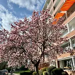 Sonniges und ruhiges Studio, 5 Min zur Messe und Arena Düsseldorf