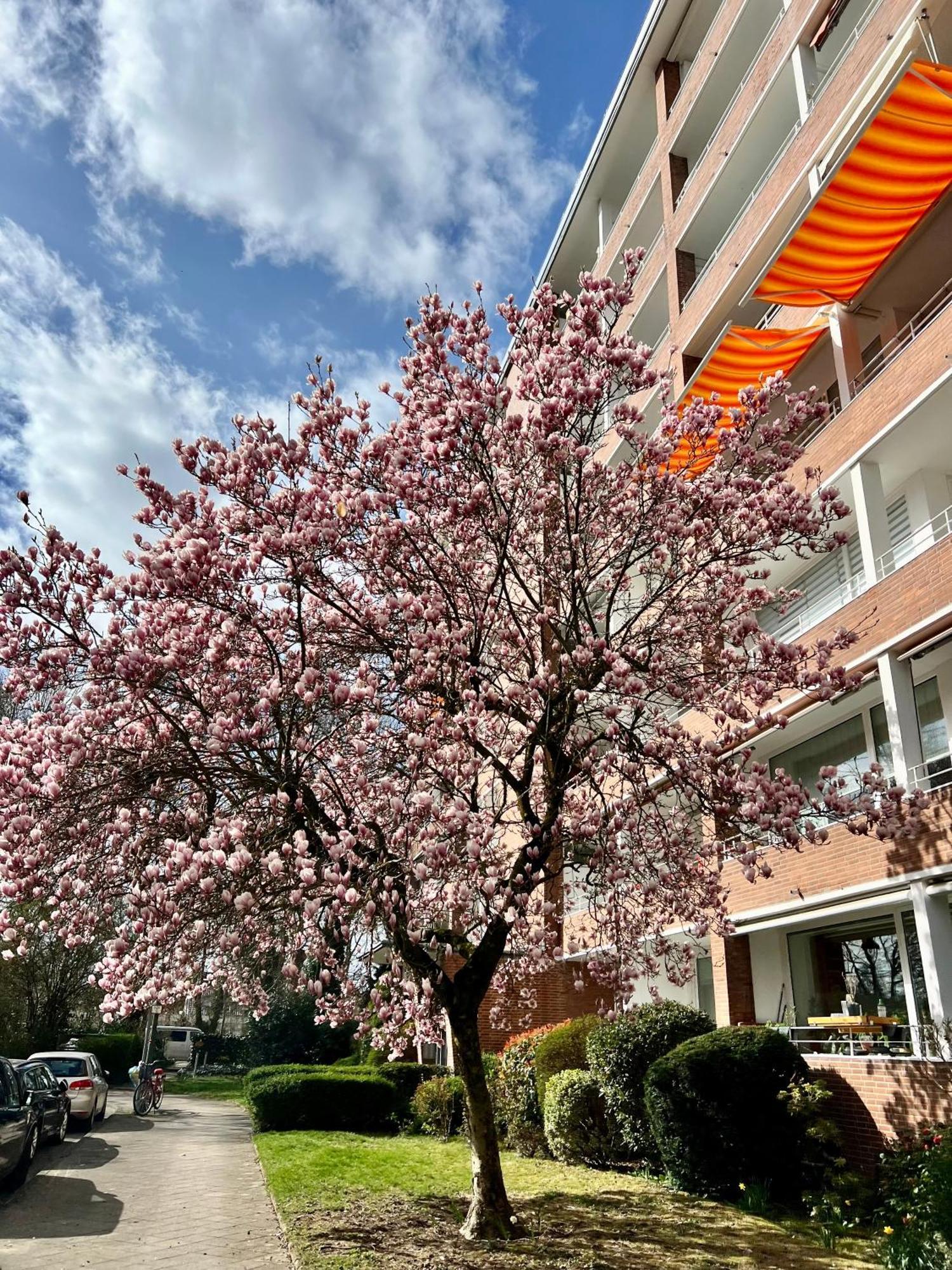 Apartment Fairloft - Messeloft - 5 Minutes To Fair - 10 Minutes To Center Düsseldorf